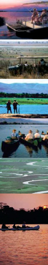 Viaggi in Botswana