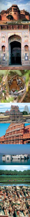 Viaggi in India