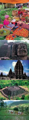 Viaggi in Indonesia