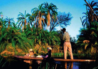 Viaggi in Botswana