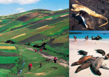 Viaggi in Equador e Galapagos