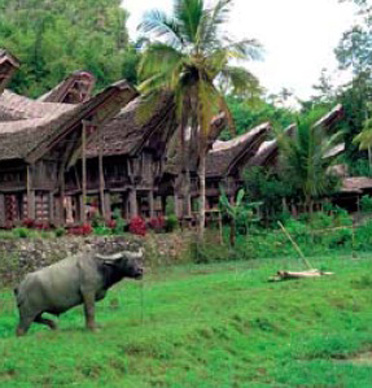 Viaggi in Indonesia