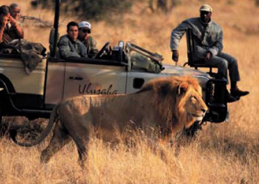 Viaggi in Sud Africa