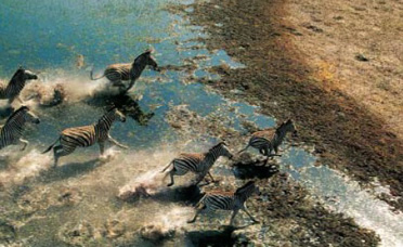 Viaggi in Botswana