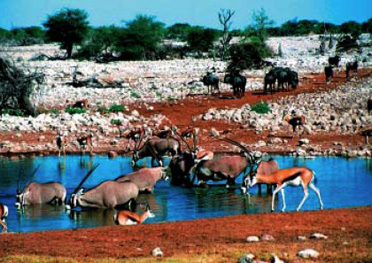 Viaggi in Namibia